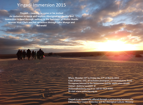 Immersion 2015